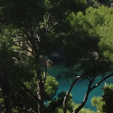 Bed and Breakfast Les Terrasses Des Anthenors Ensues-la-Redonne Esterno foto