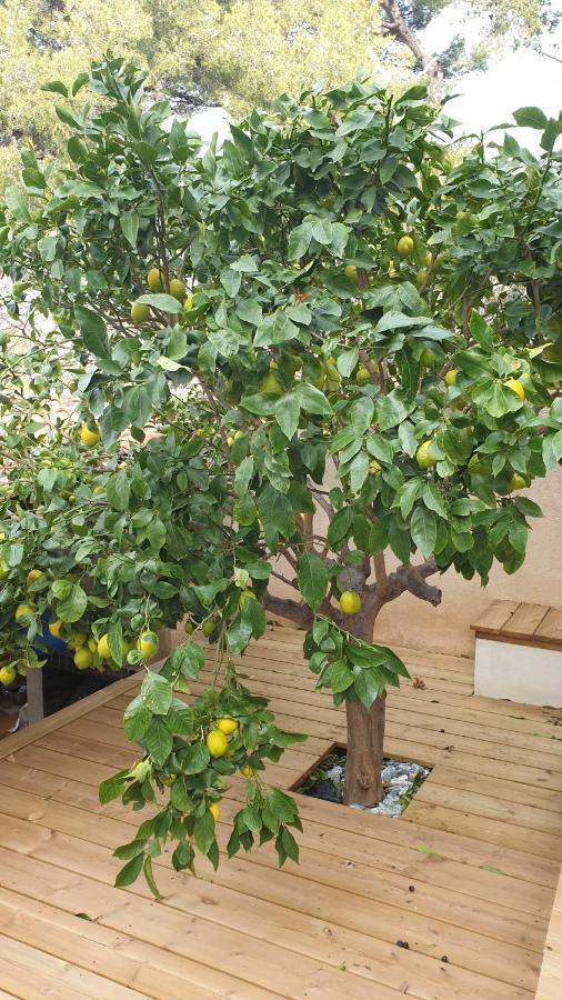 Bed and Breakfast Les Terrasses Des Anthenors Ensues-la-Redonne Esterno foto
