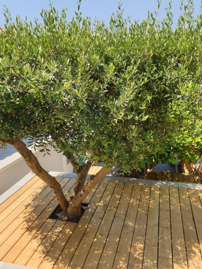 Bed and Breakfast Les Terrasses Des Anthenors Ensues-la-Redonne Esterno foto